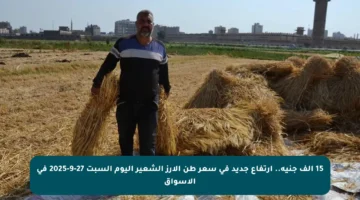 15 ألف جنيه.. ارتفاع جديد في سعر طن الأرز الشعير اليوم السبت 27-9-2025 في الأسواق